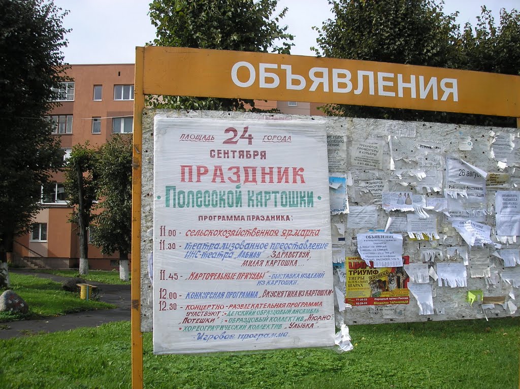 a bulletin board