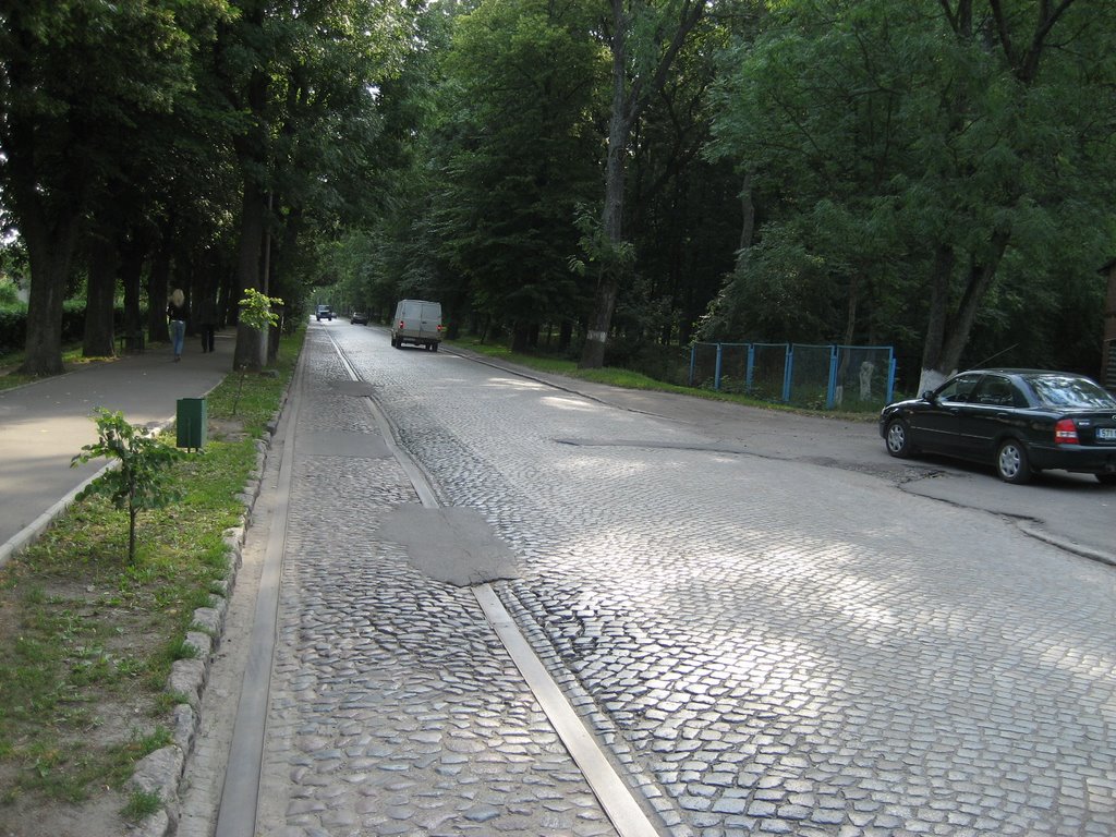 улица Кутузова Правдинск
