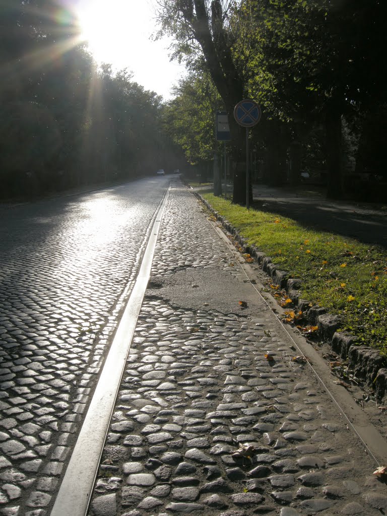 Дорога из прошлого. Правдинск (Friedland). Рельсы конки /  The way from the past. The rails of horse-drawn tram
