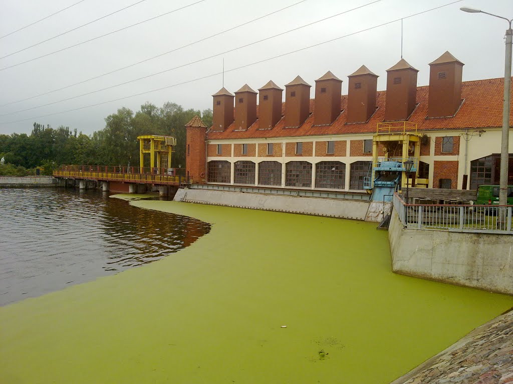 Sępopol