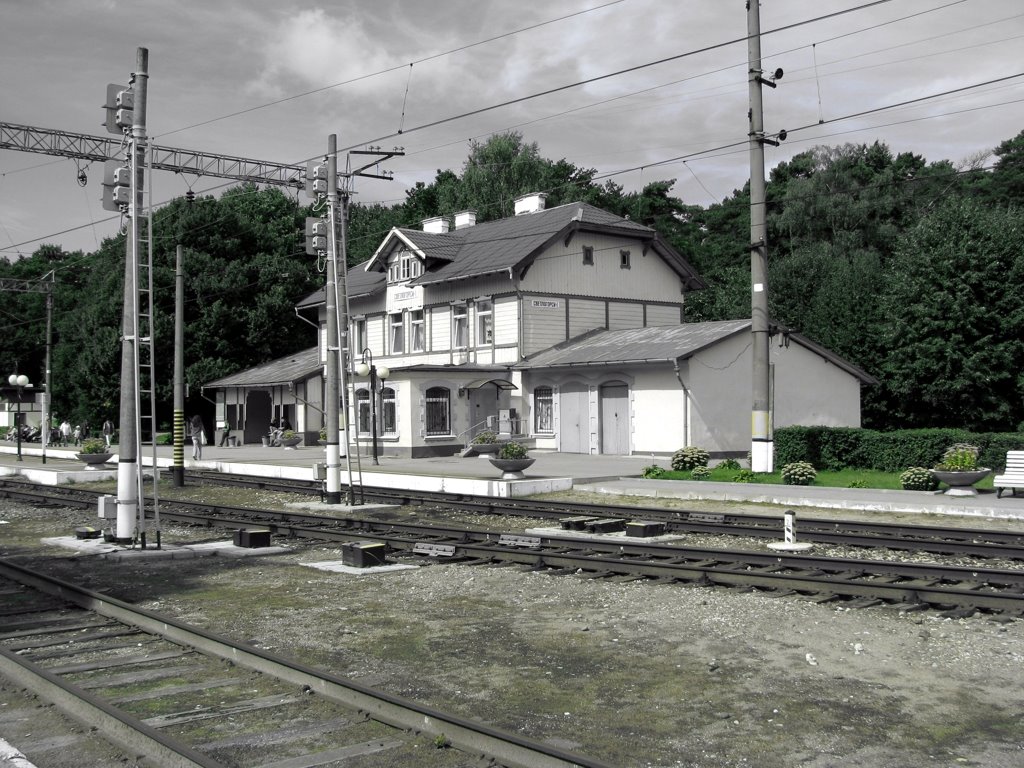 Station Svetlogorsk-1