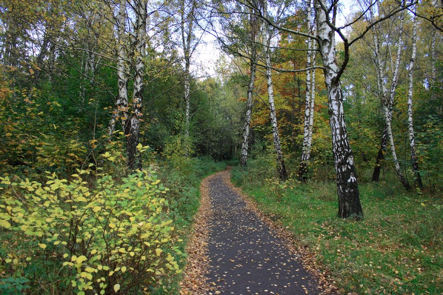 Mellow autumn - Спелая осень