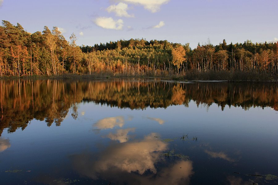 Breath of autumn -Дыхание осени