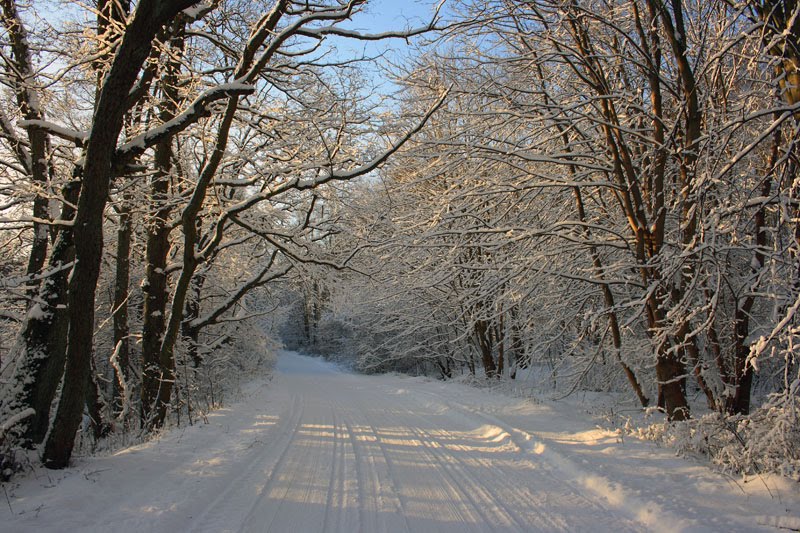 Road in the winter.- Дорога зимой.