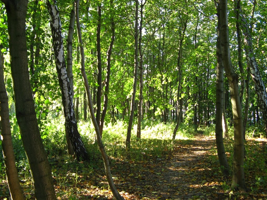 Светлогорск (ранее Rauschen)
