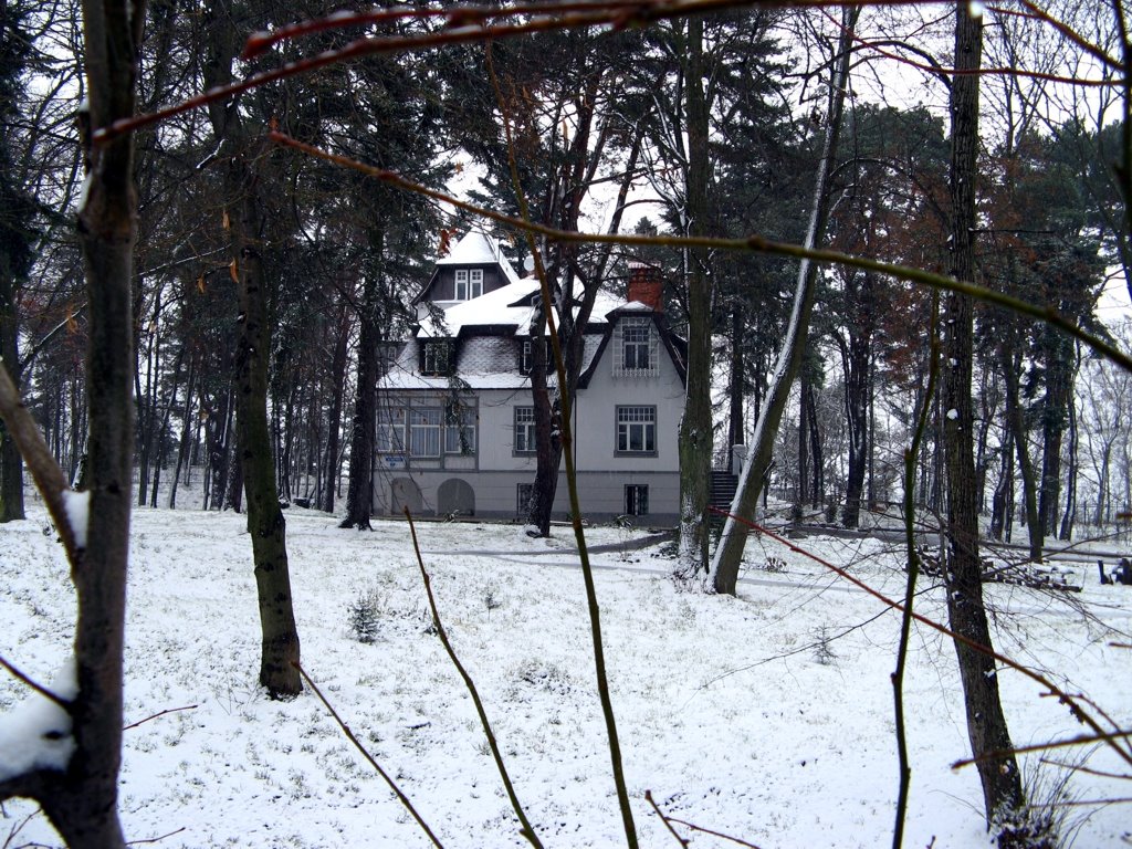 The winter has begun 2