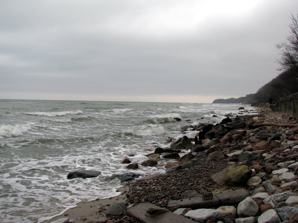 The Sea and Coast