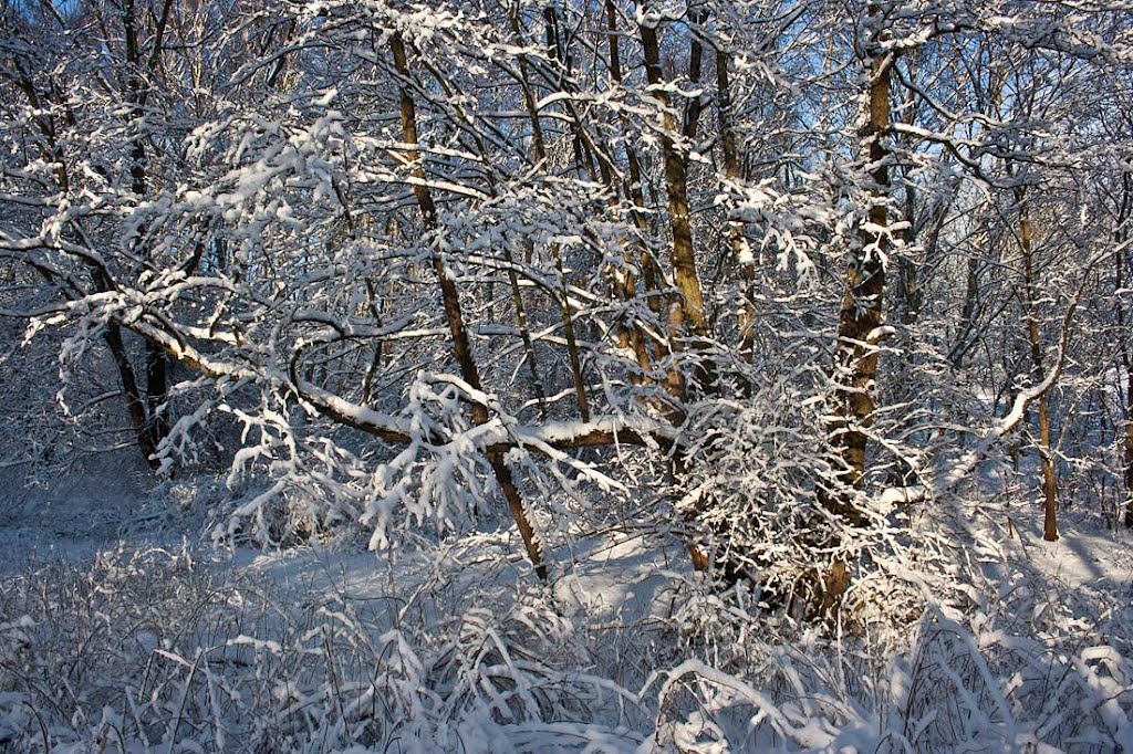 Winter patterns - Зимние узоры