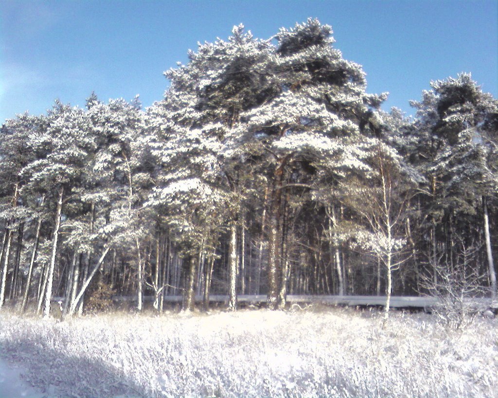 Красота