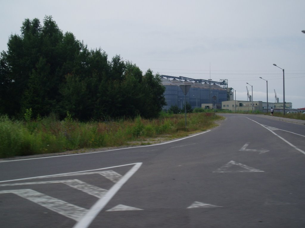 Светлый