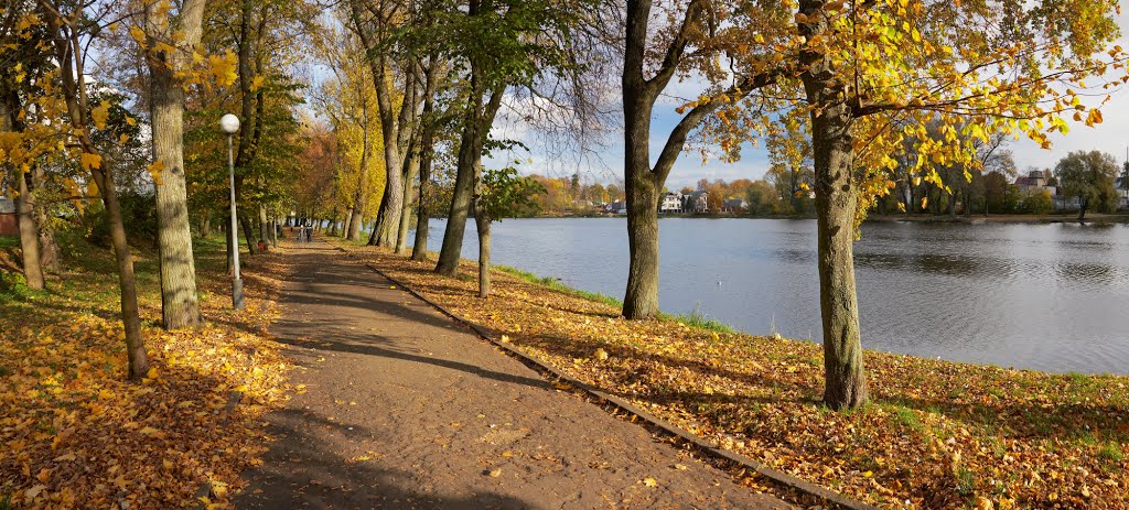 Осень. Аллея вдоль северного берега Городского пруда в Советске.