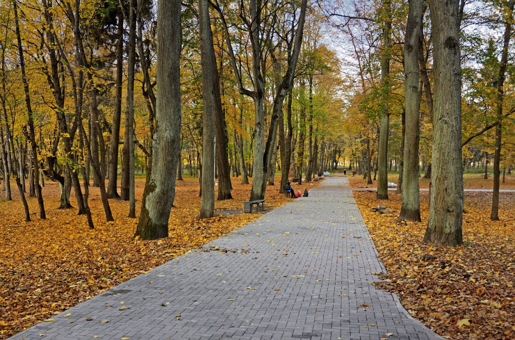 Поперечная аллея в городском парке в Советске.