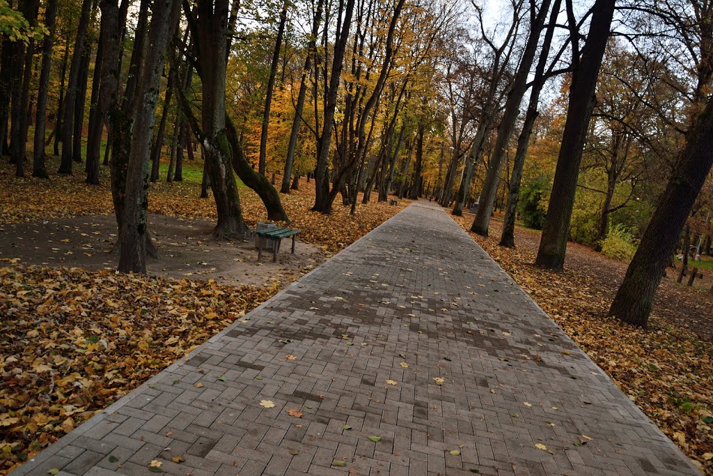 Советск. Городской парк