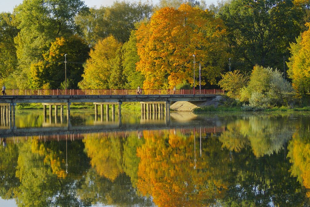 A Mirror Lake