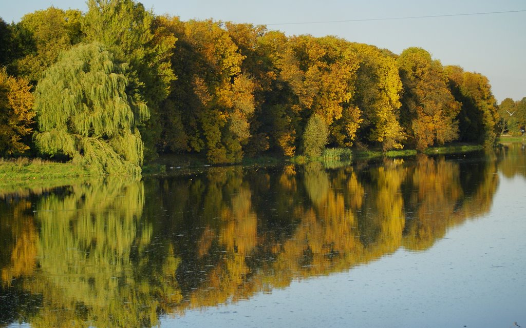 Reflection