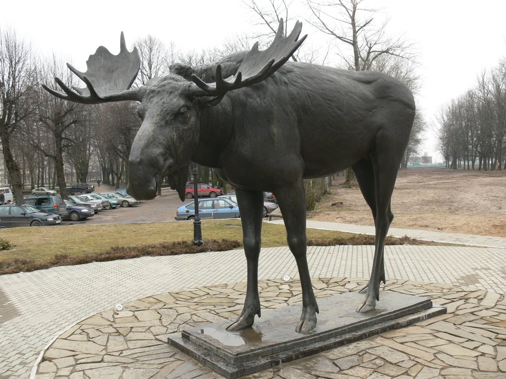 Тильзитский лось