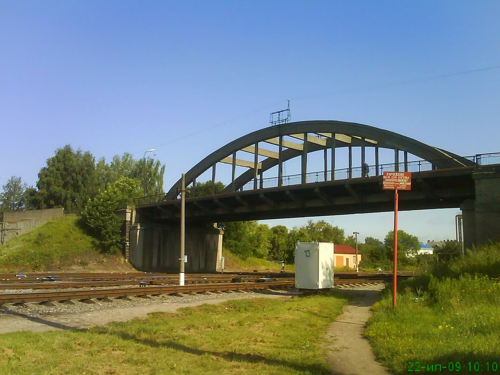 мост Горбатый