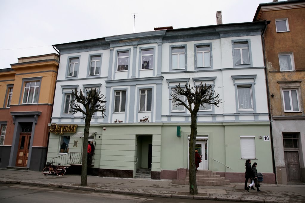 Tilžė (Sovetsk) nice cat and the pigeons sculptures on the cornice