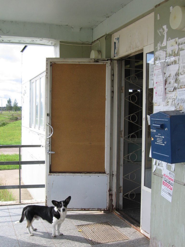 entrance to voentorg-shop