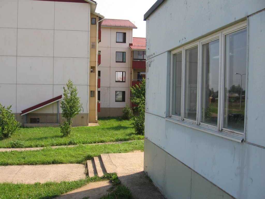 у тараса