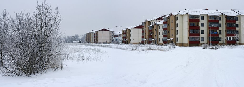 Aviatorov st. at cold winter day