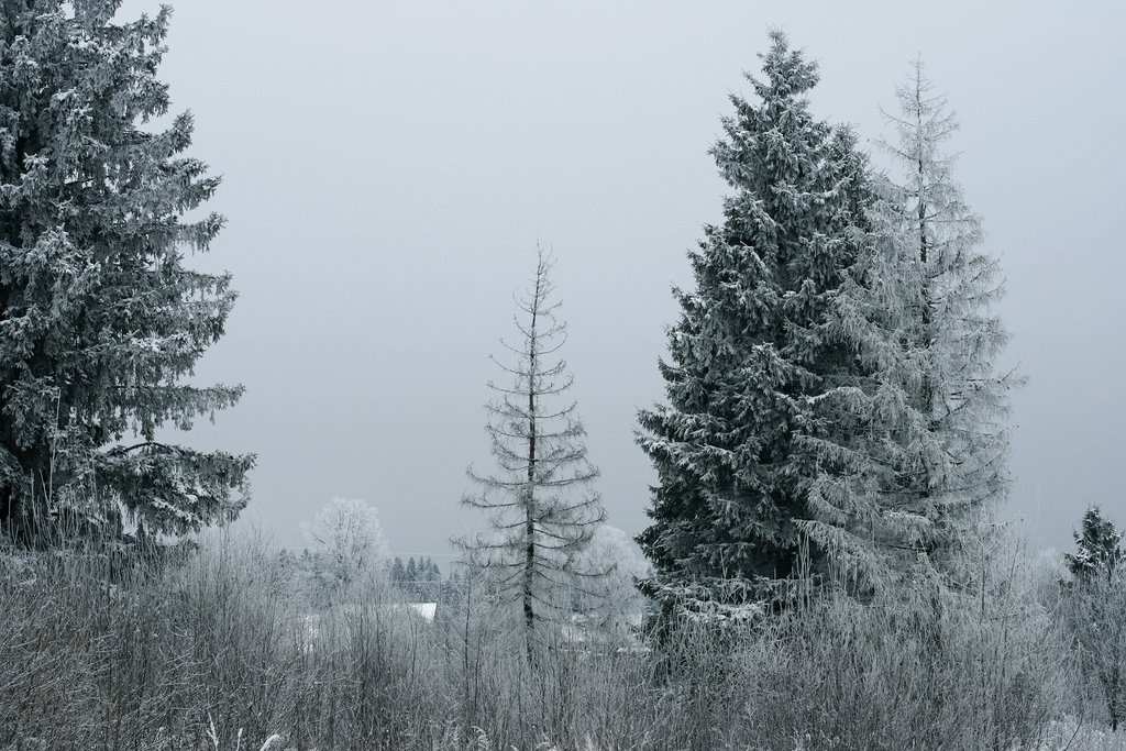January 1st , 2010