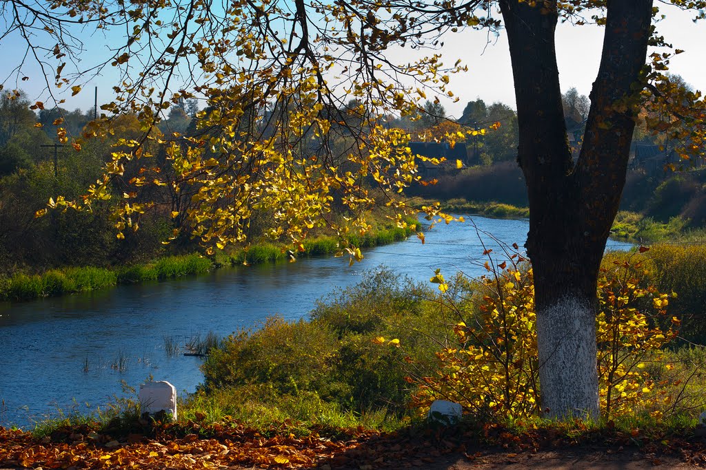Fall in Andreapol / Осень в Андреаполе