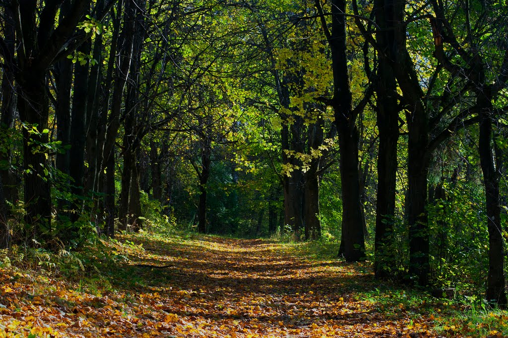 Fall in Andreapol / Осень в Андреаполе
