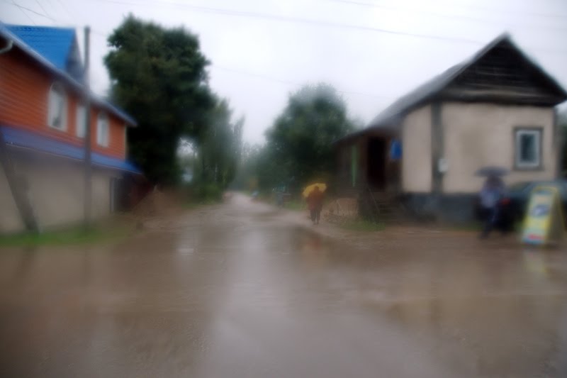 Андреаполь