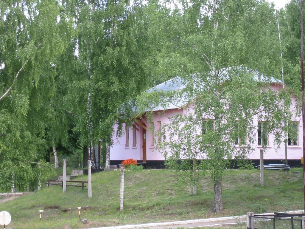 Andreapol’