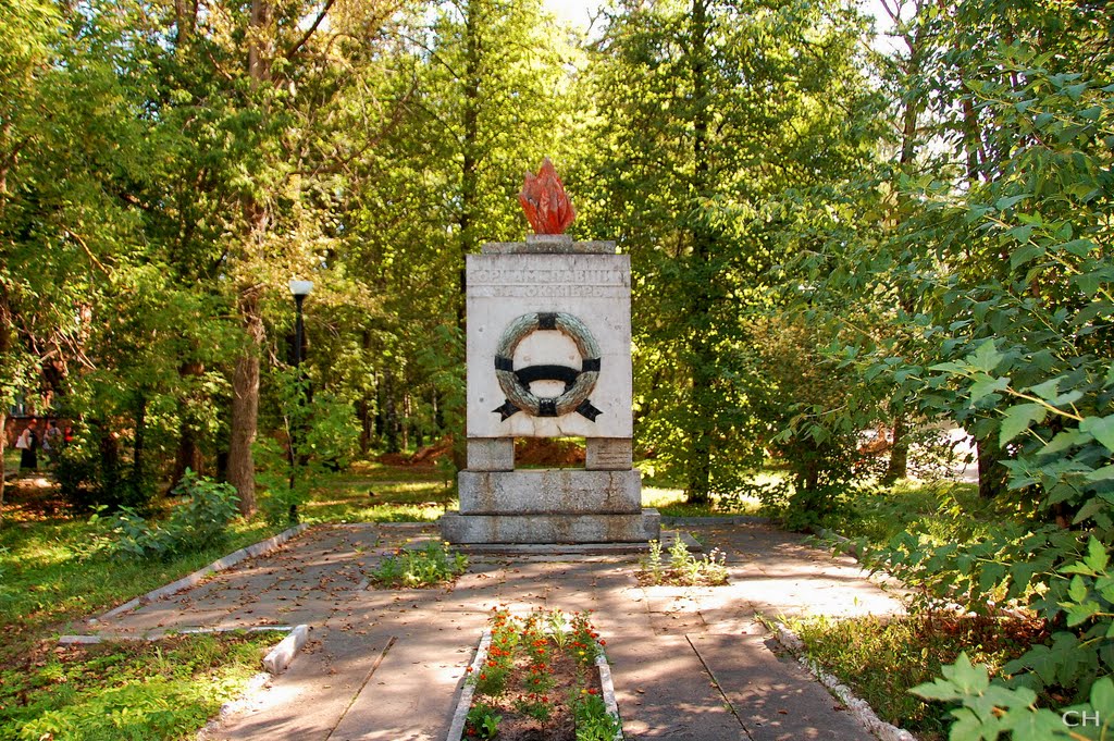 Бежецк. Борцам павшим за Октябрь