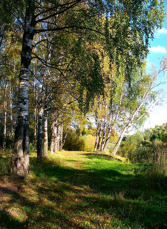 Берег Остречны