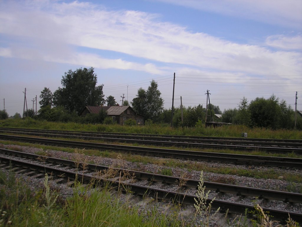 Bezhetsk railroad station