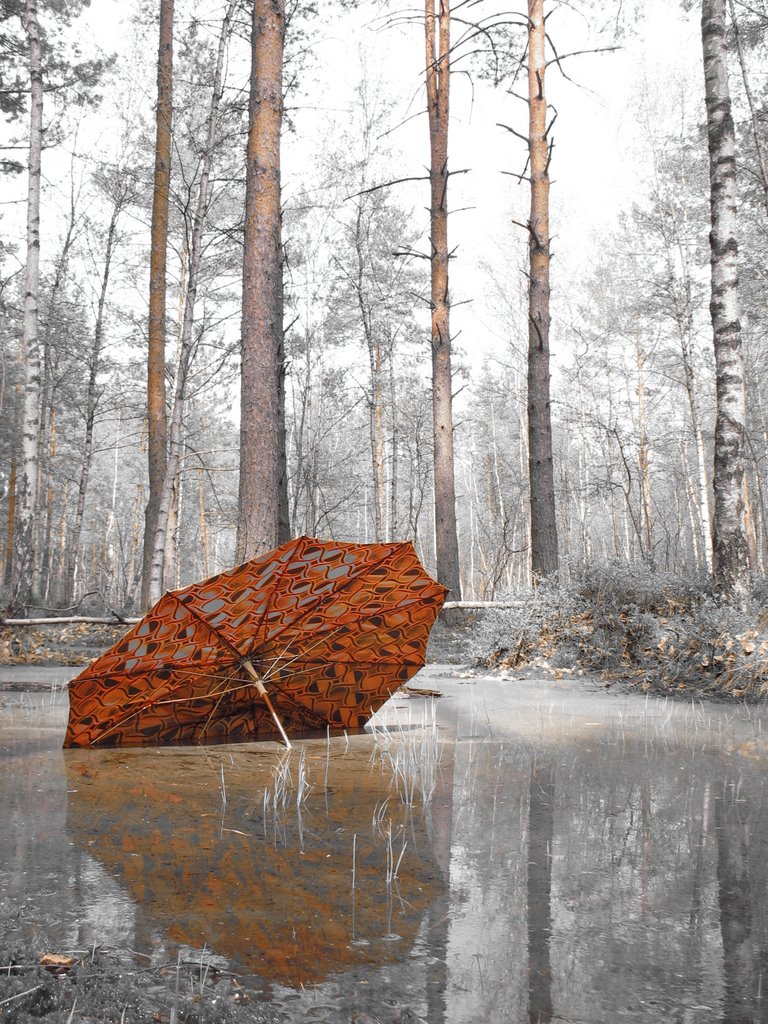 болото 7