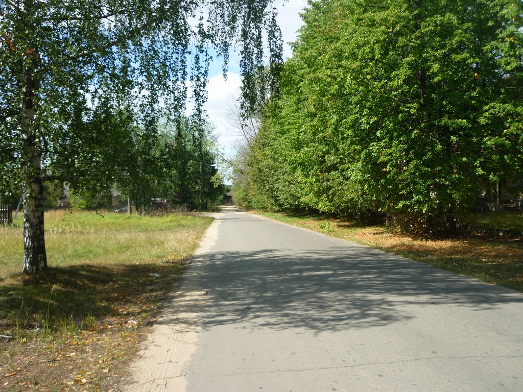 Заводская улица (в сторону Волги)