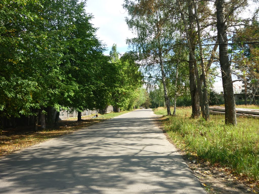 Заводская улица(в центр посёлка)