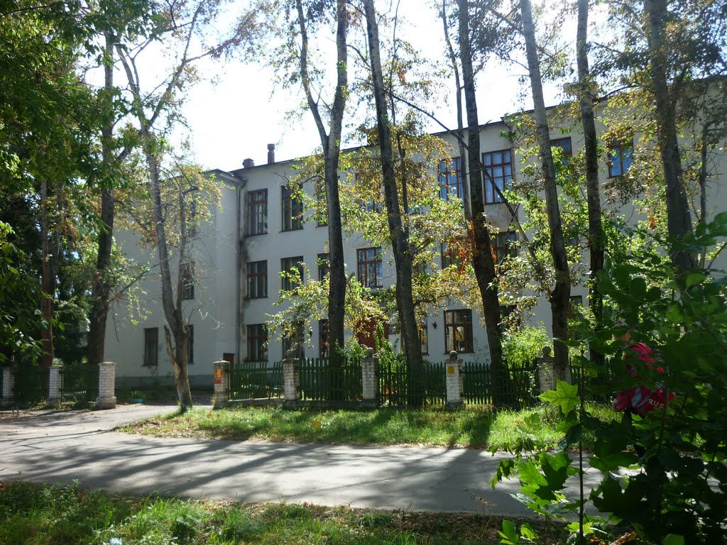 Средняя школа