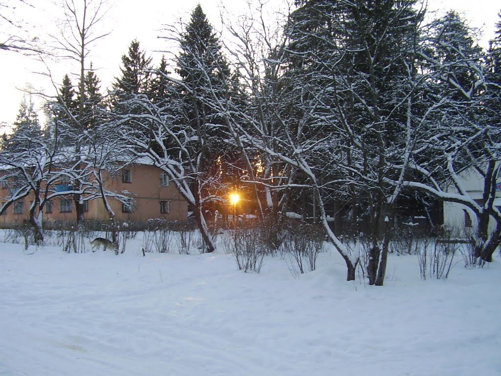 Белый Городок зимой