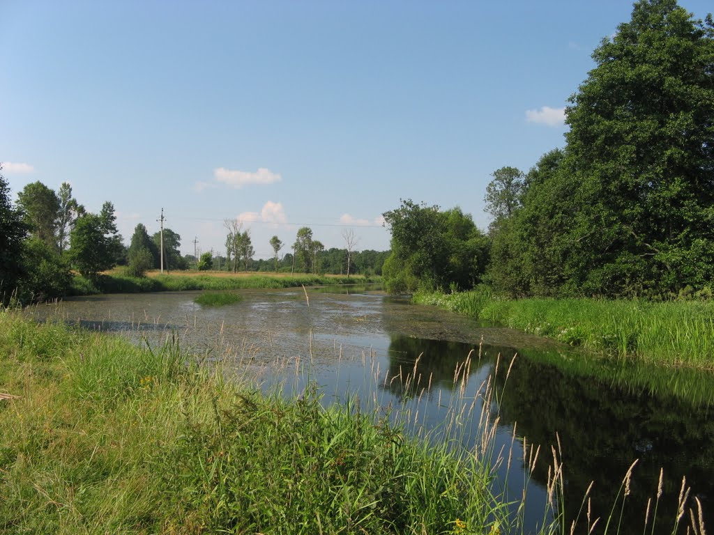 Река Березайка