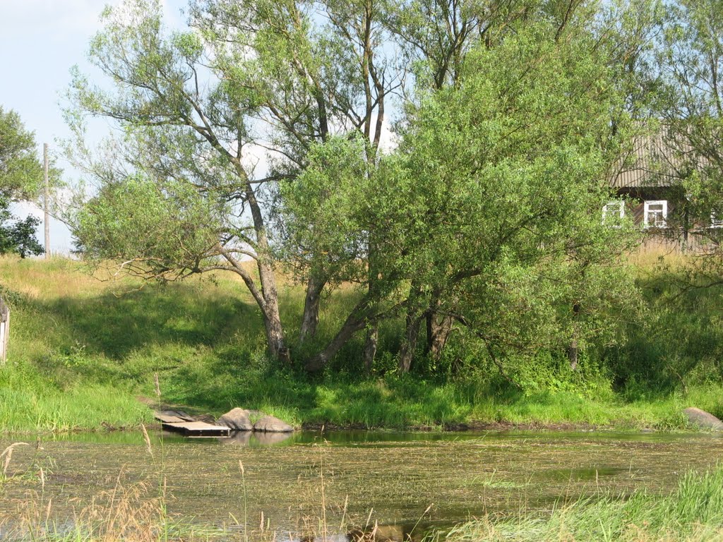 Река Березайка