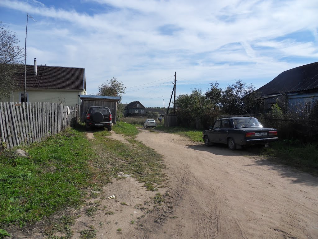Справа дом родственников Ивана и Веры в д.Острые клетки.