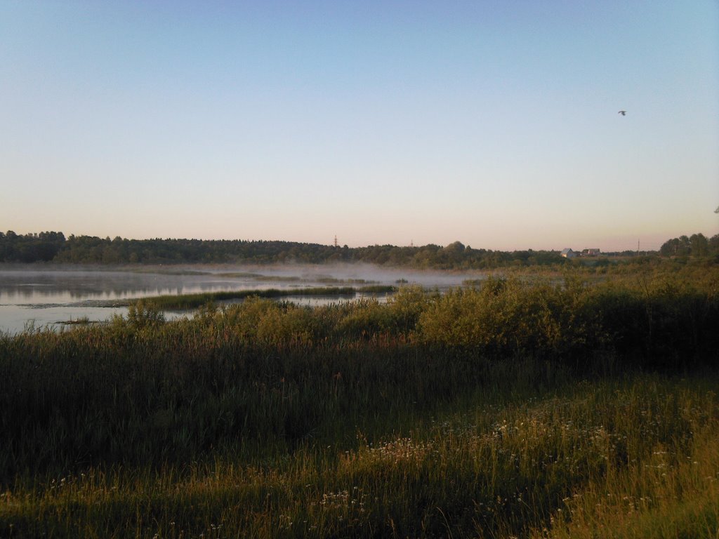 Бологое 2008