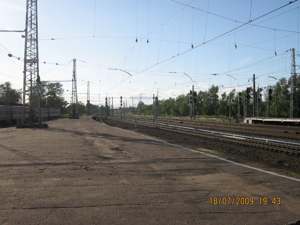 "Бологое". Вид в сторону СПб.