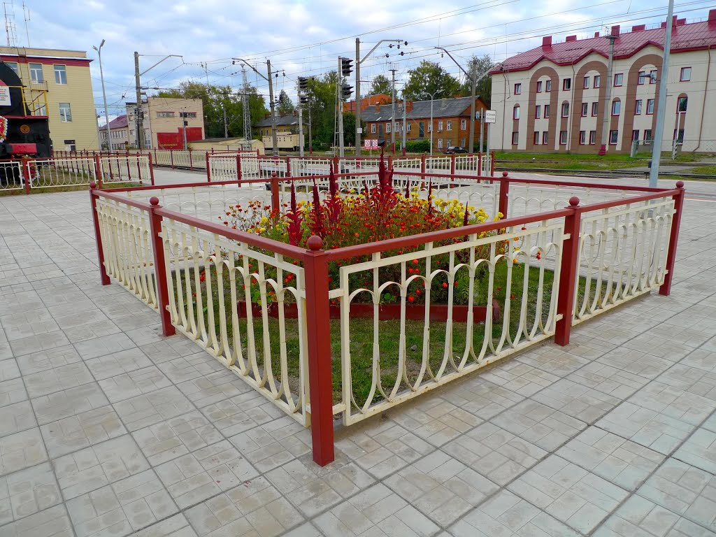 Клумба
