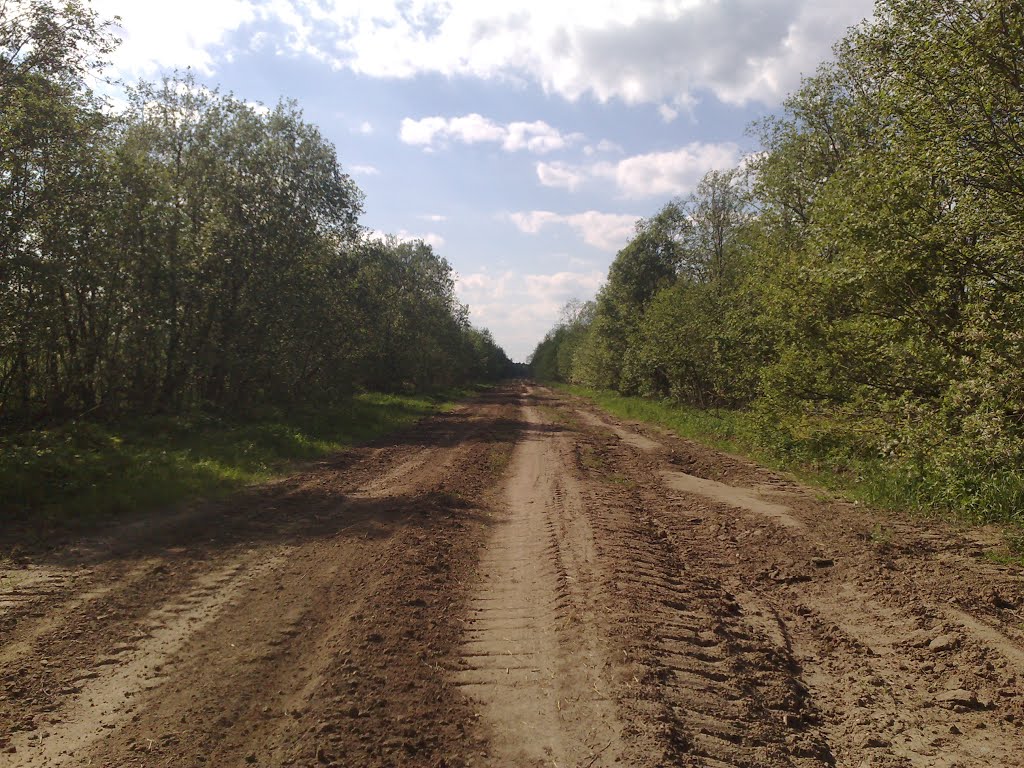 святинская дорога