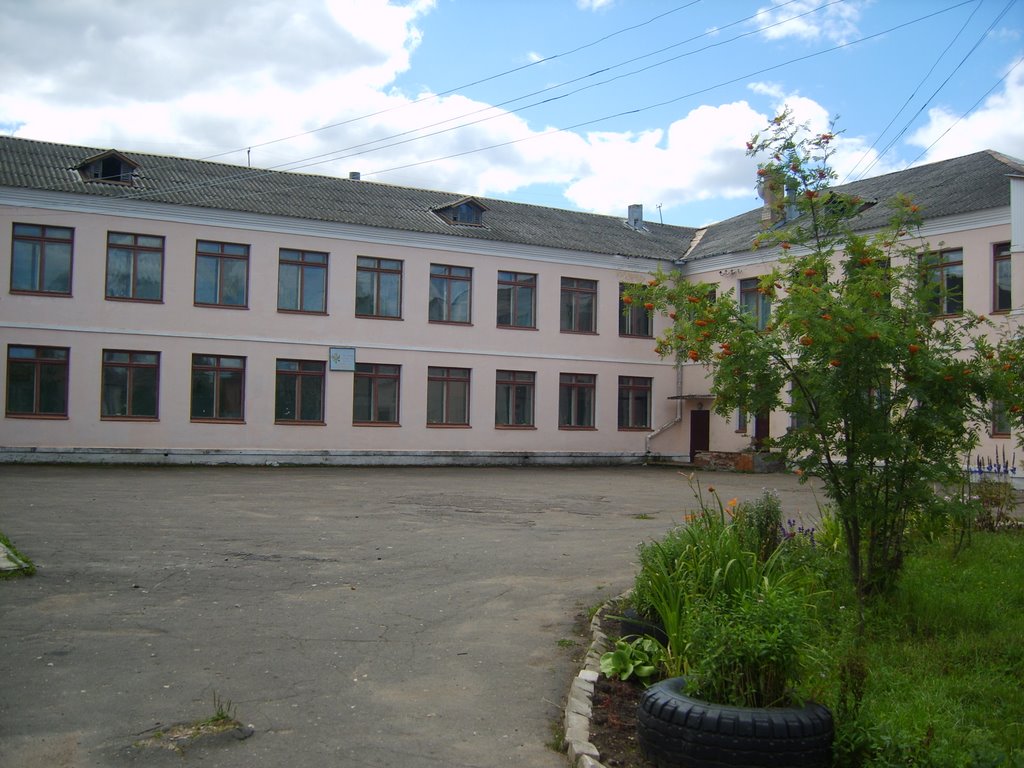 Школа пос. Васильевский Мох
