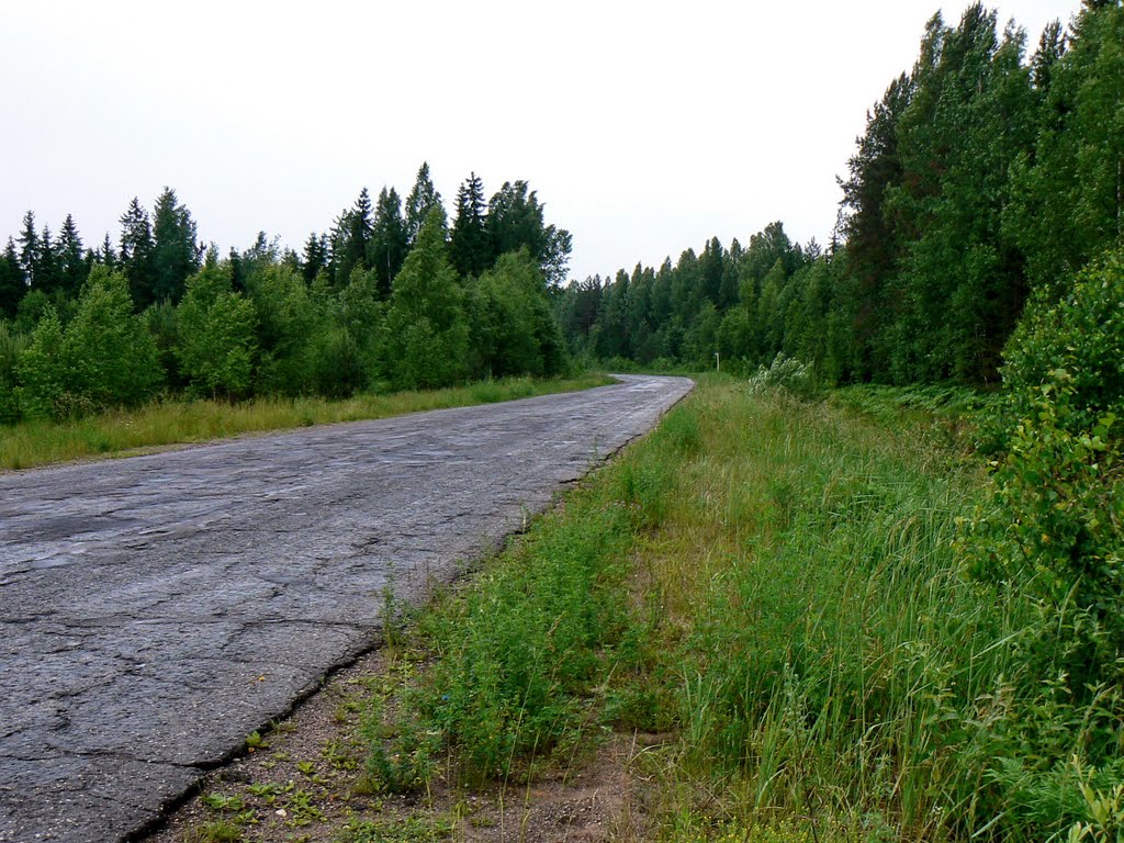 Шоссе на Жарковский