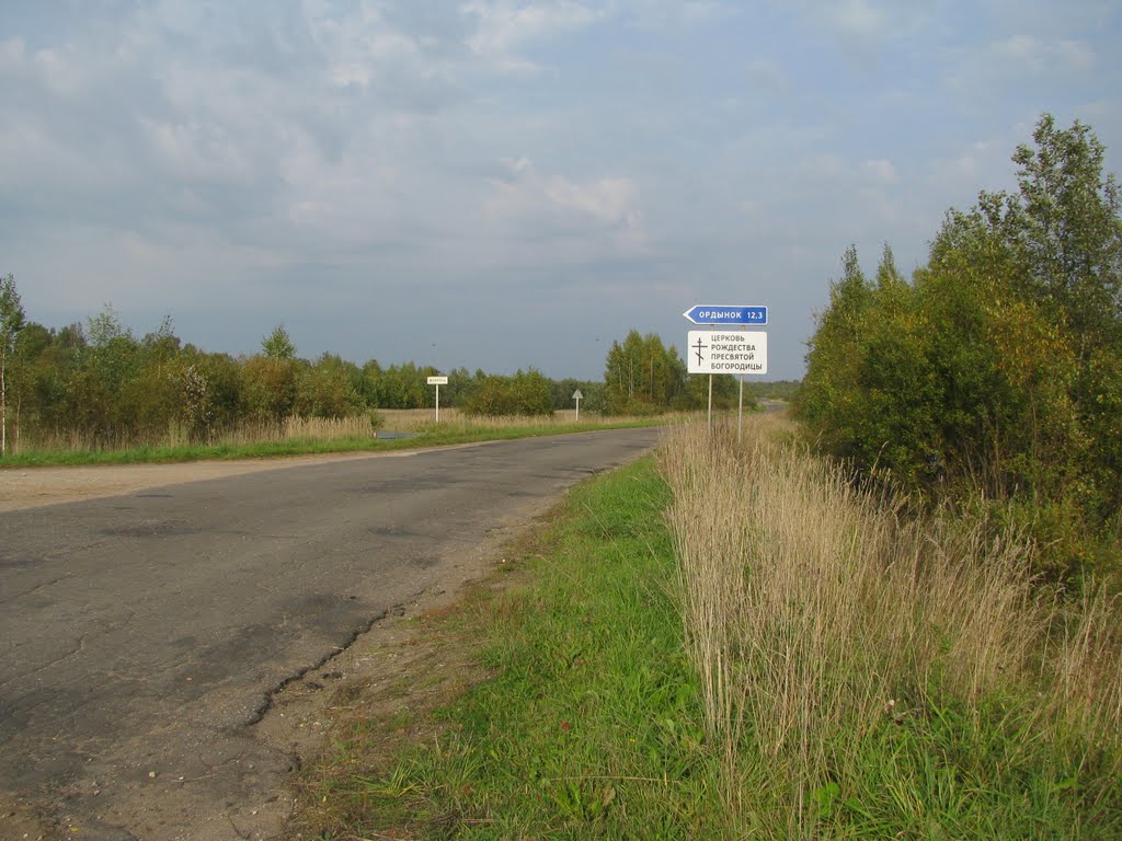 д.Вороны,поворот на с.Ордынок
