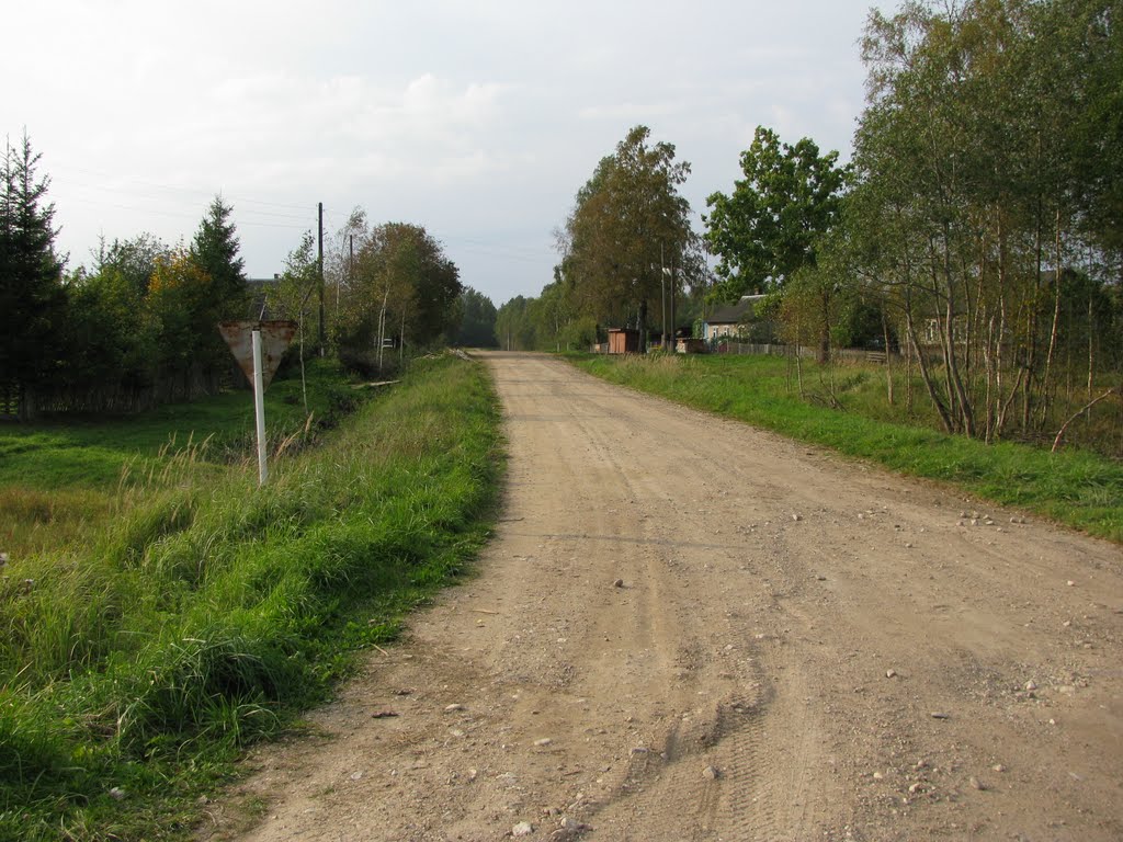 Новая дорога на Ордынок