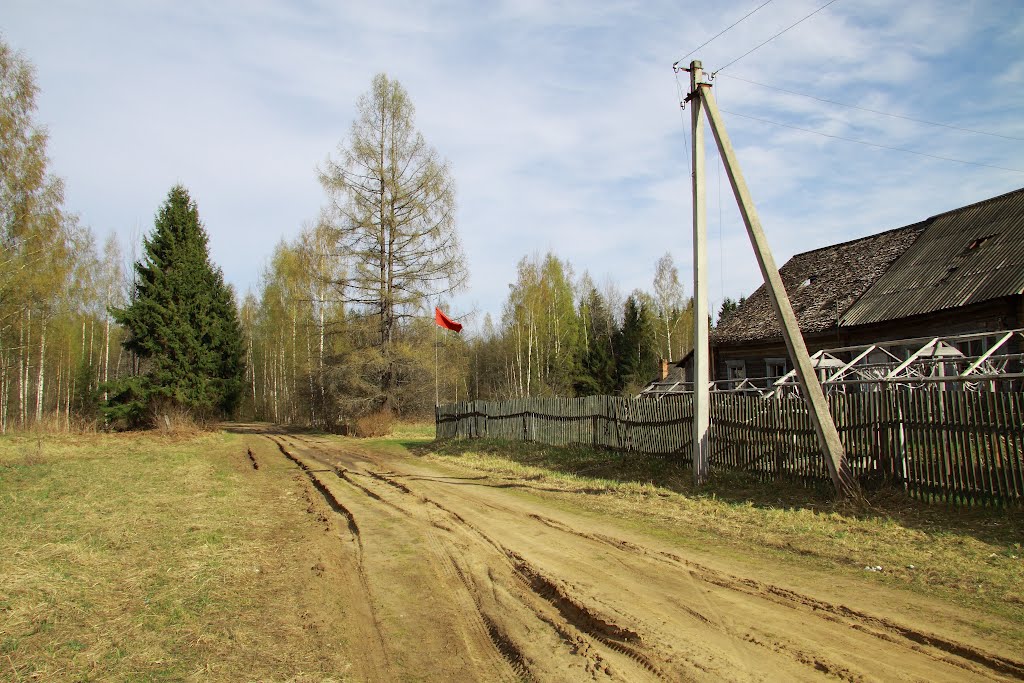 Пустошка Жарковский район